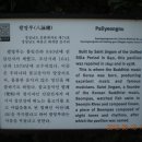 삼신13