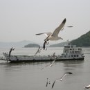 H8214 이미지