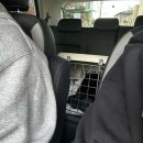 일죽종합동물병원 이미지