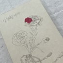 혜야민화실