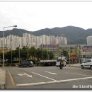 청송민물 이미지