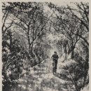 설미재미술관 이미지