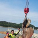 여수마을1 이미지