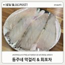 가정중앙시장 맛집 동주네 막걸리&amp;회 포차 광어회 후기