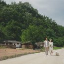 리틀포레스트스냅