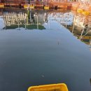 즐거운낚시 | [삼길포항 백년좌대] 즐거운 🎣 초보낚시 내돈내산 후기