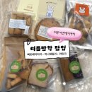 정나눔터 | 수원 비건베이커리 여름빵학 오프라인 팝업 웨이팅 품절 메뉴 삐토베이커리 미니데일리