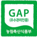 김삿갓면-31 이미지