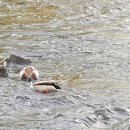 새날약국 이미지