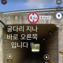 베일리펫케어 | 경기도 처인구 베일리펫케어, 후기, 위치, 영업시간