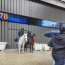 축구공(함성) | 레알 마드리드 직관 후기 티켓 가격 좌석 시야