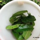 상수리숲농장 이미지