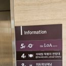 시바견을 좋아하신다면 요기 안가면 손해! 녹사평카페 더미쓰리 🐶 용산놀거리 혼자 친구 연인