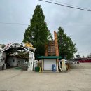 구정염소농장 | 배다골 테마파크 :: 서울근교 동물농장 일산 아이와 꼭 가봐야할 곳