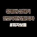 안산 피자보틀 후기 - 상해기님도 반한 맛집! 피자 뷔페 리뷰