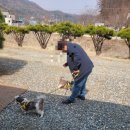 서울근교 숨은 보석 발견! 댕댕이도 아이도 함박웃음 터진 양평 비앙드팜 키즈 글램핑 후기 (어린이날...