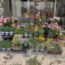 군장카피타운 이미지