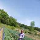 해피팜농장 이미지