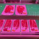 옛고을식당 이미지