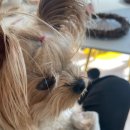 크리스마스 위빙 리스 이미지