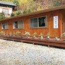 국성 이미지