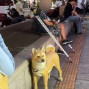 차마시고 밥먹고