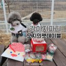 오지의 펫테이블 이미지
