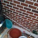 사파동353 이미지