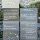 서울 한양도성길 2코스 낙산구간 후기