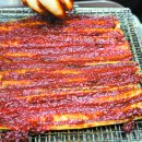 남강민물장어 이미지