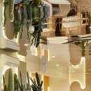 그레이스쇼핑 이미지