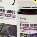 바이오트리 이미지