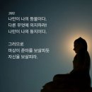 사단법인 담마디빠선원