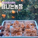 탐나는농장감귤체험카페