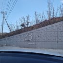 네코스테이 고양이마을 | [국내여행]강릉 여행 네코스테이 추천 / 삼색이 고양이 집사체험 후기