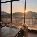 경기도 광주 실내 애견동반 가능 르꼬리 카페 서이추 환영