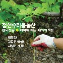 정선농산 이미지