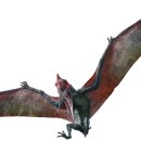 프테라노돈 | 프테라노돈, 하늘을 지배한 백악기의 날개 달린 포식자