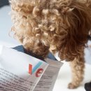 가남동물병원 이미지