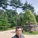 푸른 당구장 이미지