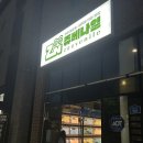크레스티드게코 익스트림할리퀸 암컷 분양 / 동탄 장지동 파충류 양서류 분양샵 쥬베나일