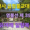 범어사 금정불교대학 염불선 제39강 앙유여래 일향복신 이미지