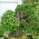 유원농장 이미지