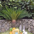 어썸스테이 | 제주 동쪽 구좌 어썸스테이 애견동반 펜션 만족도 최상 후기