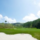 하이원 컨트리클럽 이미지