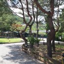 아름드리펜션 이미지