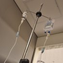 배양 | [동결 5차] 부천마리아에서 첫 배아이식 과정/5일배양 6일배양 이식 후기