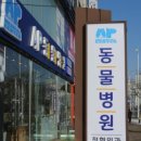 AP 동물병원 이미지