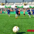 올림픽공원 인조잔디축구장 이미지