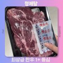 대진축산 | 한우 전문 쇼핑몰 추천 정애담 소고기 한우등심 한우구이 선물세트
